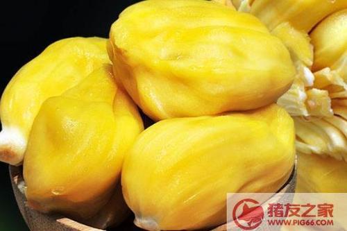 菠萝蜜应季什么时候