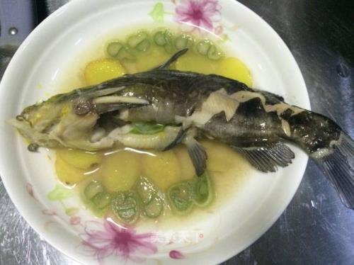 黄狮鱼中式做法