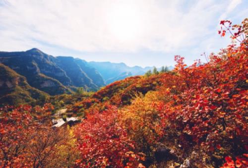 坡峰岭怎么预约