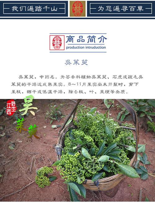 吴芋成熟期
