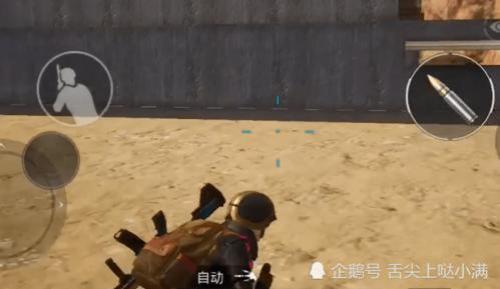 精英伪装不玩会消失吗