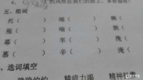 什么的什组词有哪些