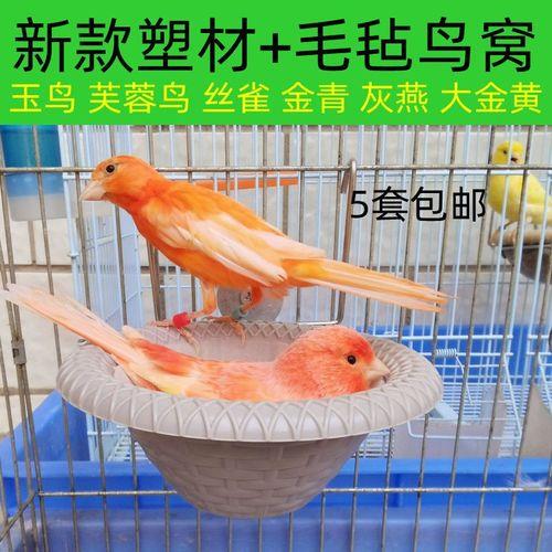 芙蓉鸟用什么窝