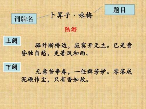 卜算子咏梅陆游朗读，断句