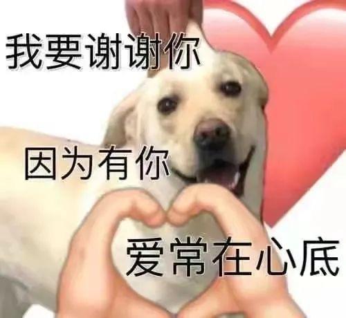 女生回复谢谢和谢谢啦的区别