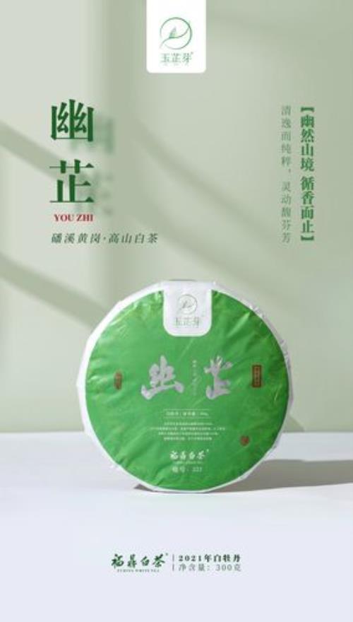 寻芷白茶怎样