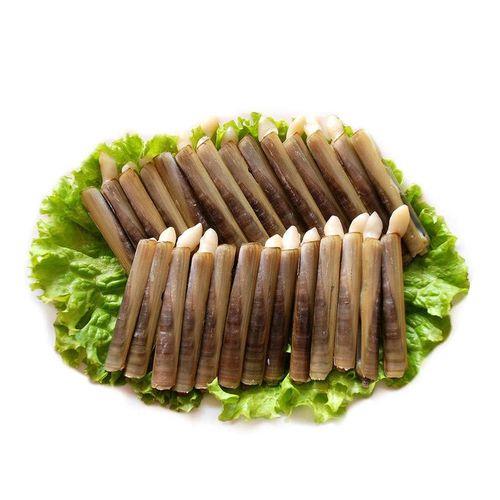 竹节蛏和竹蛏是一种吗