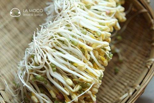 如何发豆芽最快最有效