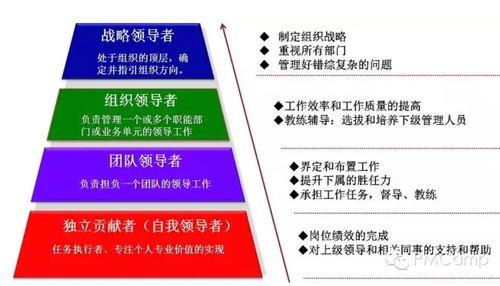 为什么喜欢推销型领导类型
