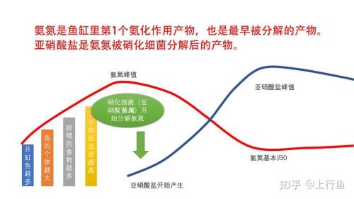 氨氮的作用是什么