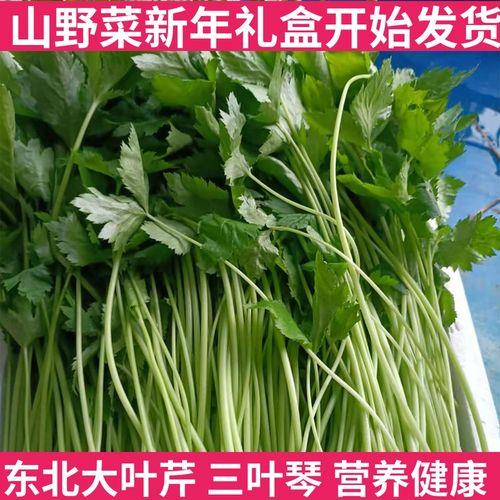 肉炒大叶芹的家常做法