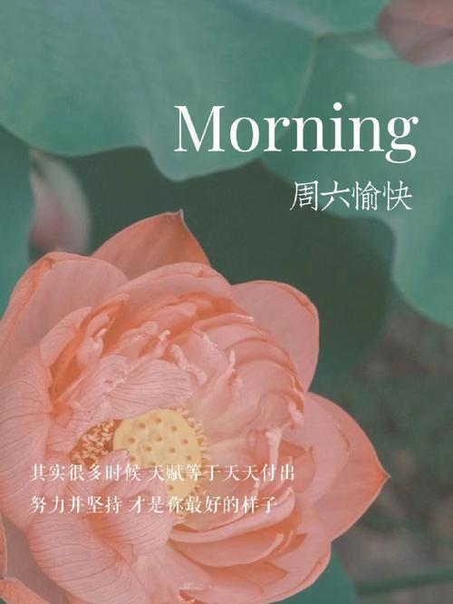 星期六的文案
