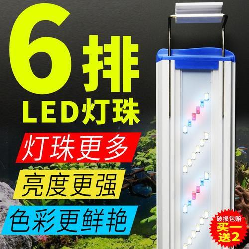 爆藻灯用什么颜色