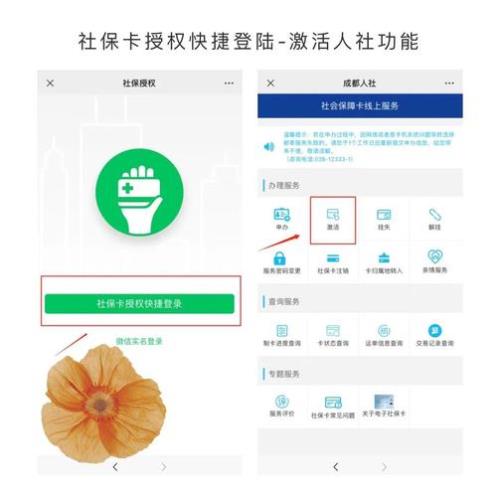 如何登录社保卡网站