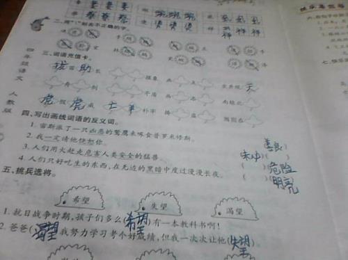 “保护”的反义词是什么