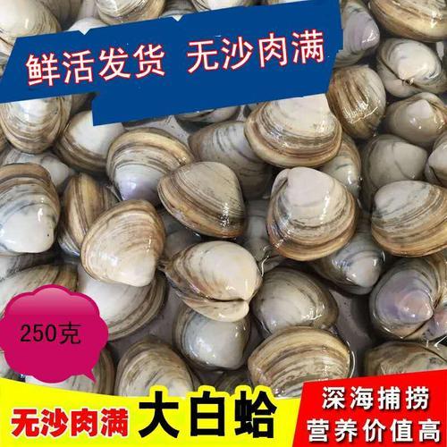 白蛤里有白色虫子是怎么回事