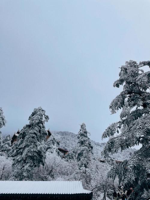 峨眉雪怎么生产