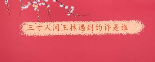 三寸人间王林实力排名