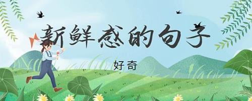 新鲜感什么含义