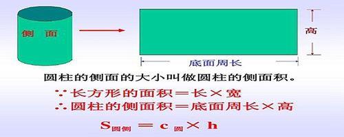圆柱的面积和半径成什么比例