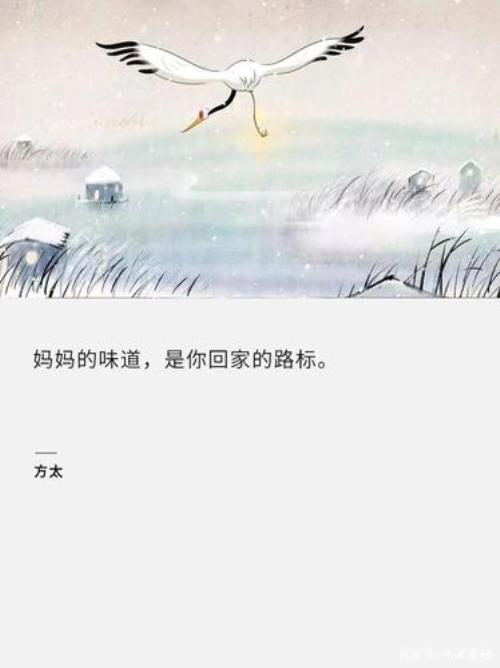 关于回家路上的走心文案