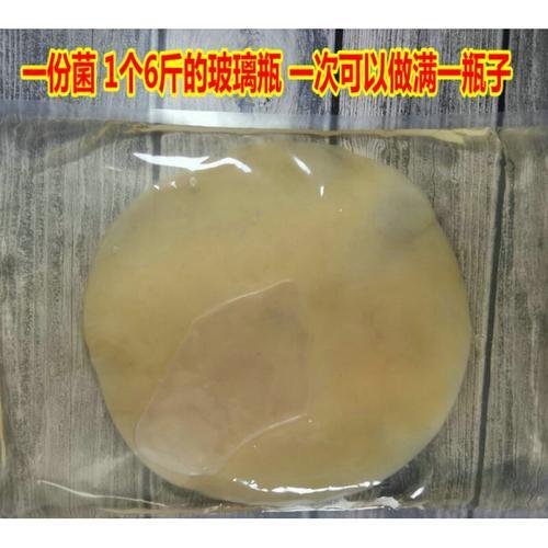 怎样保存醋蛾子
