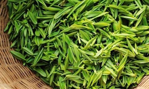 翠兰侧生芽移栽方法