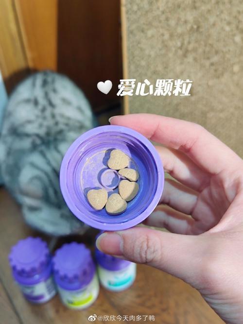 爱心奶是什么