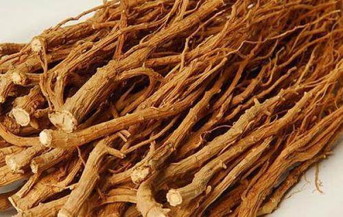 柴黄和柴桂的区别
