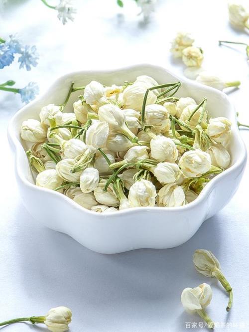 茉莉花茶可以泡着喝