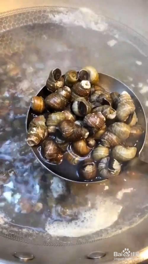 田螺的清理方法