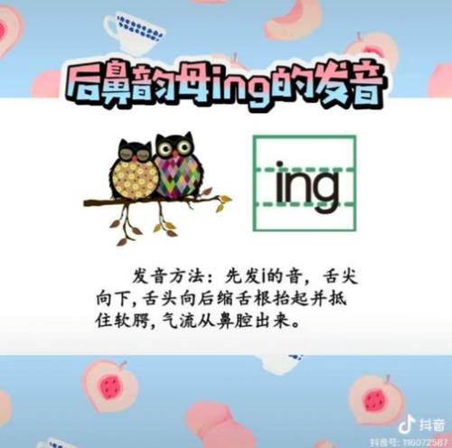 后鼻音韵母的音节有哪些