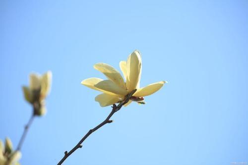 怎么才能对未来充满希望