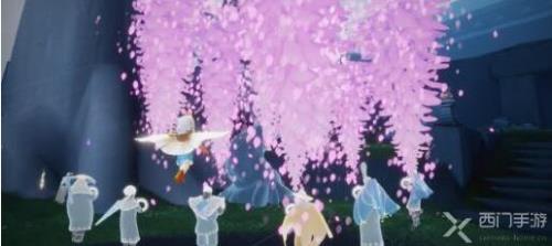 光遇花憩节樱花会返场吗