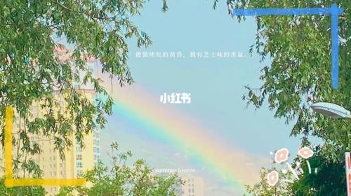 斯人若彩虹遇上方知有什么意思