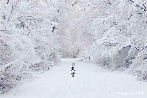 为什么现在冬天不下雪