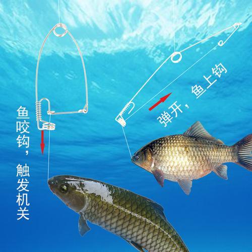 54线组能钓多少斤鱼