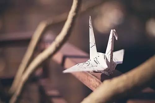 对得起自己付出的句子