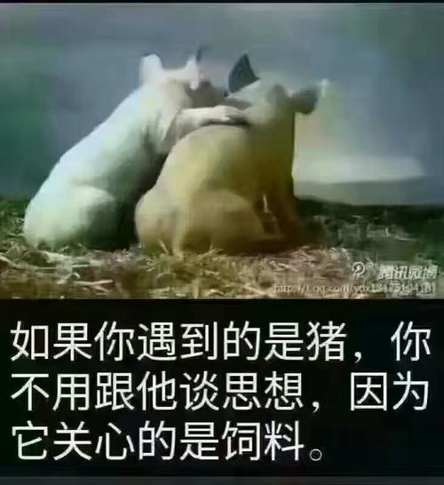 话不投机半句多的含义和出处