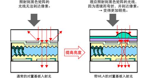 深描名词解释