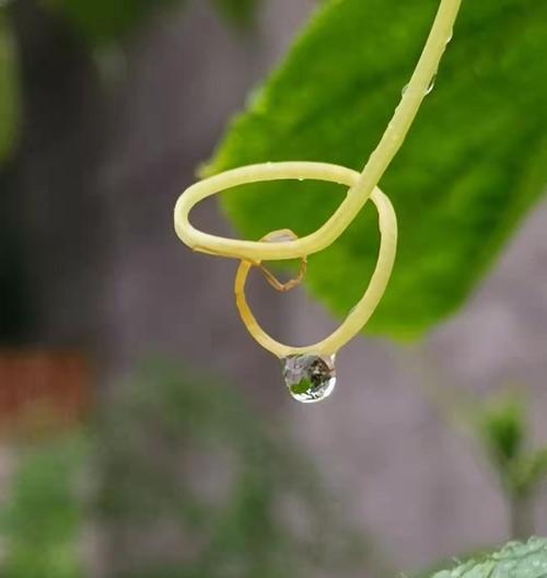 心里的叹息会变成雨是什么意思