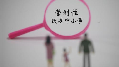 私立和民办是一个性质的吗