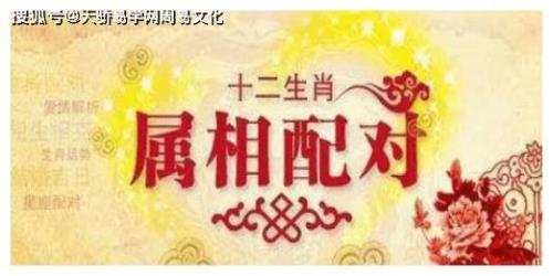 三合是什么意思