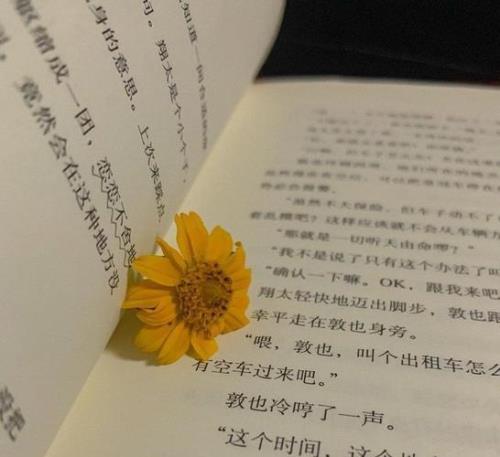 不要恋恋不舍不要回头看我文案