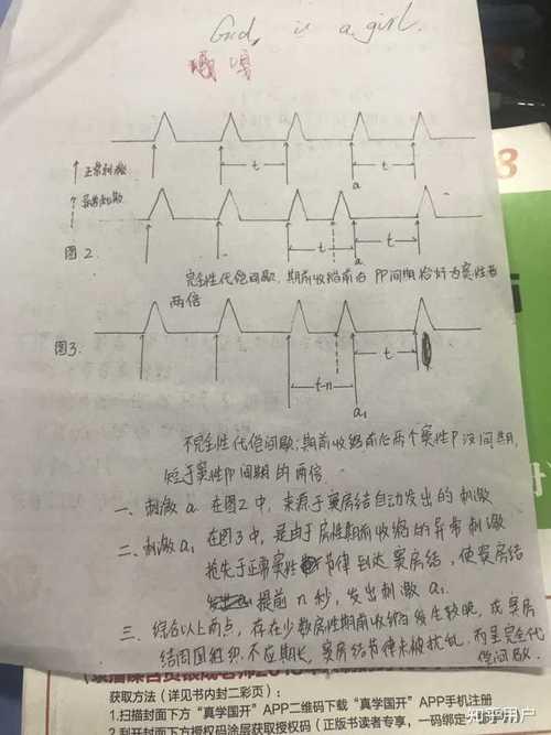 不应期什么意思