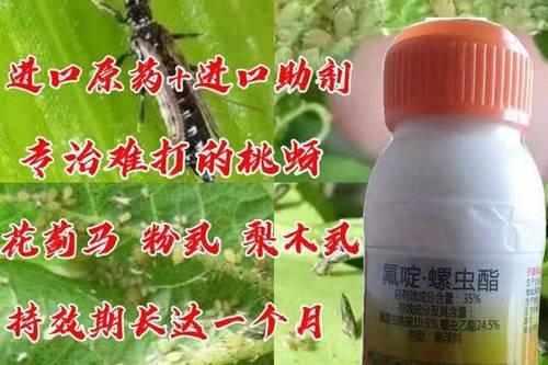 联苯螺虫酯杀什么虫