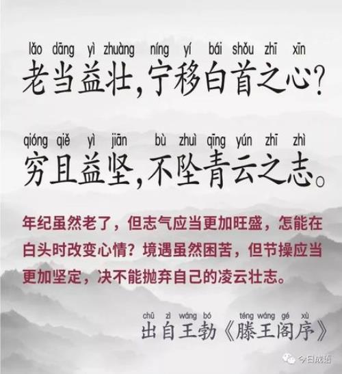不坠青云是什么意思