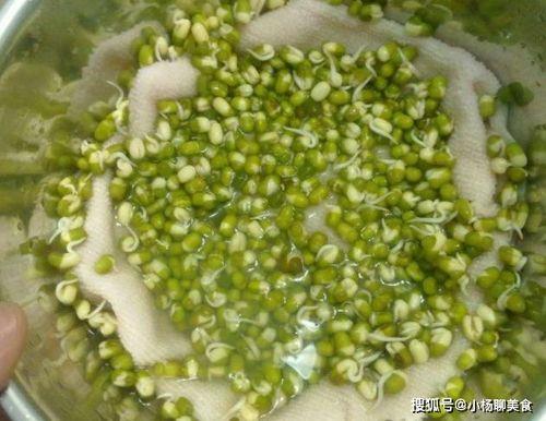 发豆芽秘方