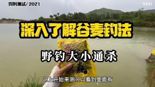 谷麦钓法入门讲解