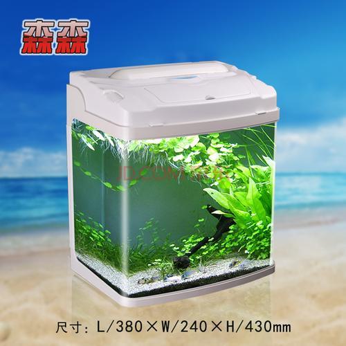 60x30x30的鱼缸养多大的鱼好